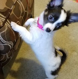 Meet your Posher, Nikki